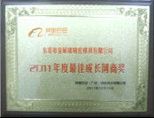 China Dongguan Kingrui Precision Mould Co.,LTD certificaciones